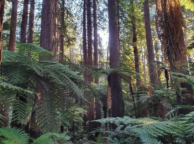 Сasa de vacaciones Folia Domus Nz, Redwoods, Mbt *
